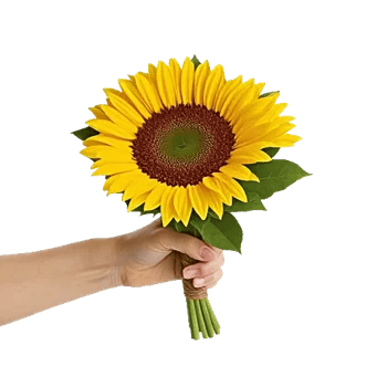 Golden Sunflower Bouquet