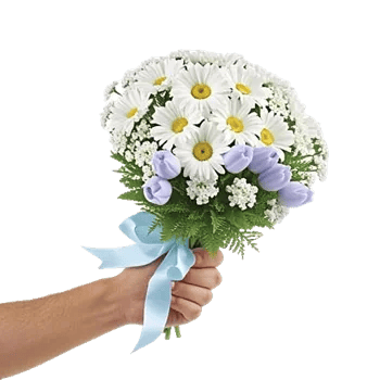 Delicate Petal Cascade