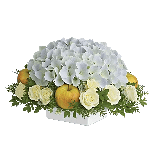 Serene Petal Harmony