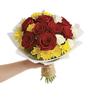 Crimson Rose Elegance