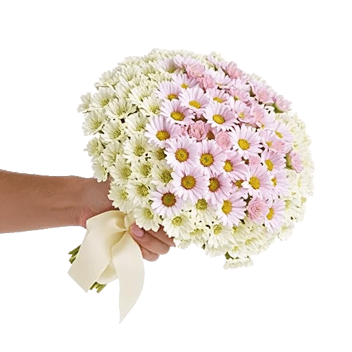 Blossom Harmony Display