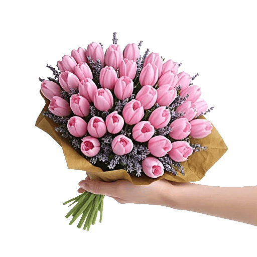 Blossom Harmony Display