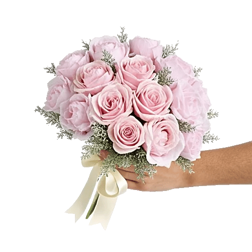Pastel Pink Roses