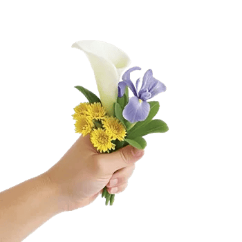 Elegant Calla Lilies