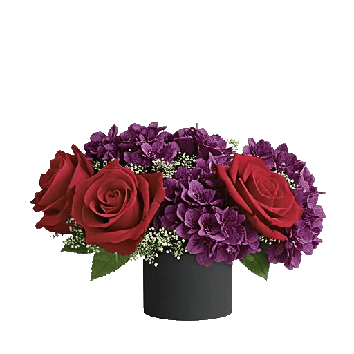 Crimson Blossom Harmony