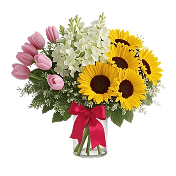 Velvet Tulip Display