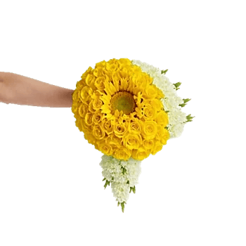 Radiant Bloom Cascade