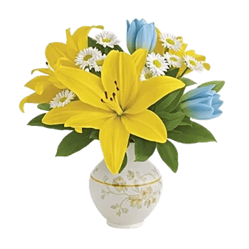 Graceful Lily Display