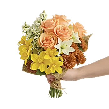 Ivory Blossom Radiance