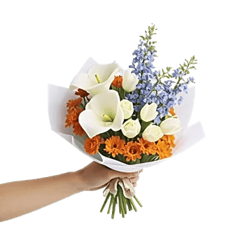 Elegant Calla Lilies