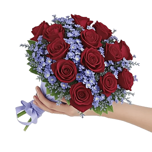 Rosemary Bloom Elegance