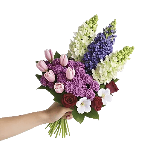 Blossom Harmony Display