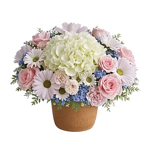 Serene Petal Harmony