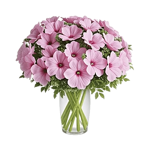 Petal Radiance Bliss