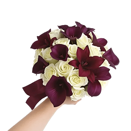 Elegant Calla Lilies