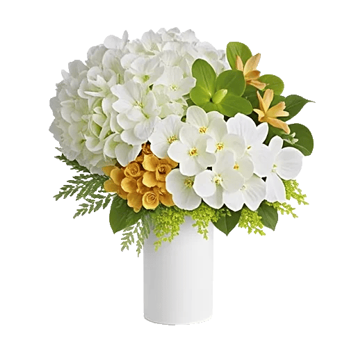 Modern White Orchids