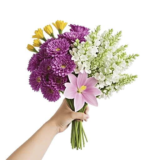 Blossom Harmony Display