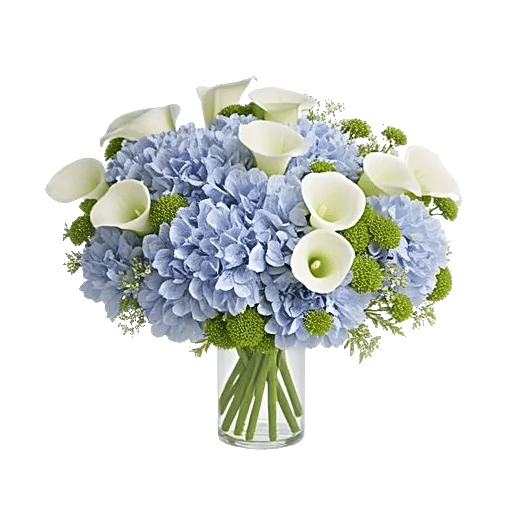 Sapphire Bloom Whisper