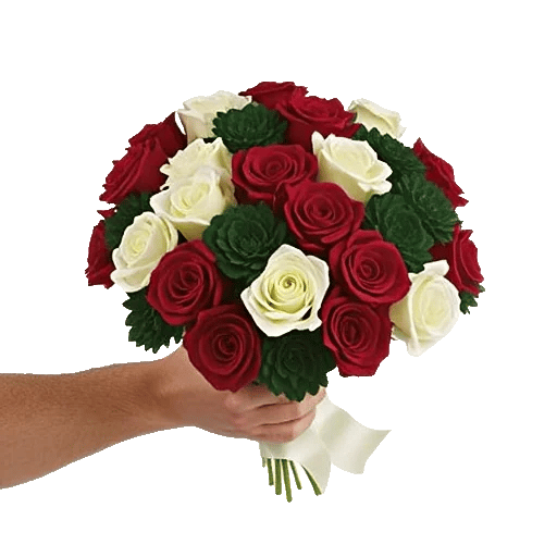 Crimson Rose Elegance