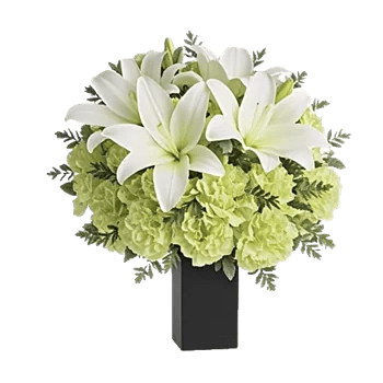 Ivory Blossom Radiance