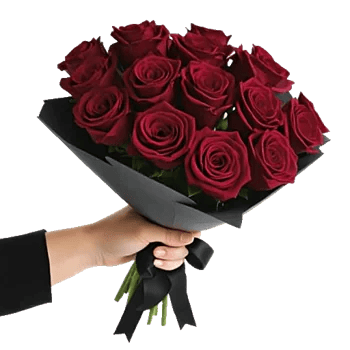 Crimson Rose Elegance