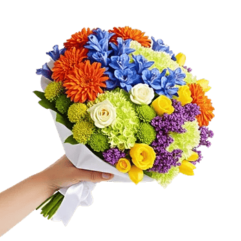 Vibrant Orange Delight