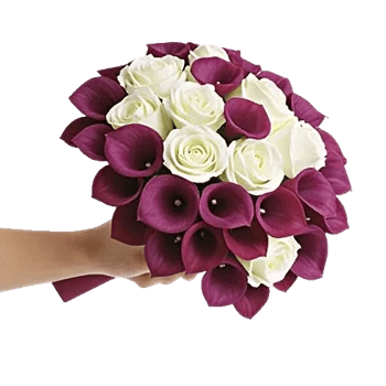 Elegant Calla Lilies