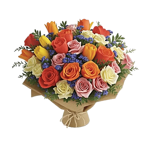 Coral Blossom Harmony