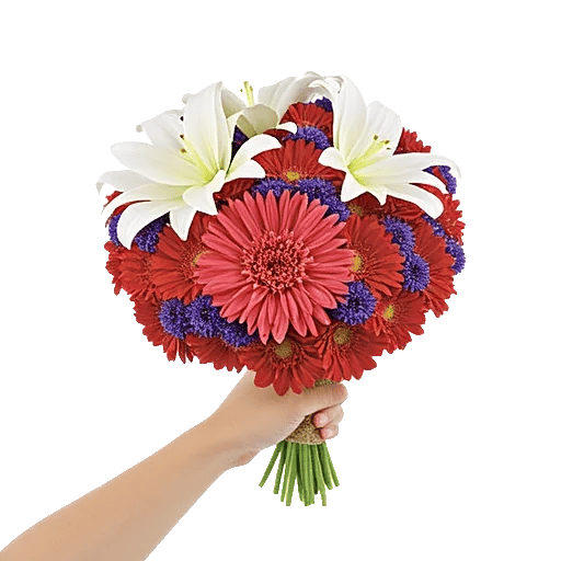 Coral Blossom Harmony