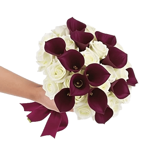 Elegant Calla Lilies
