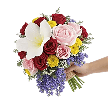Petal Grace Harmony