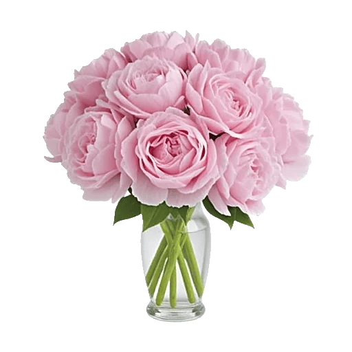 Petal Radiance Bliss