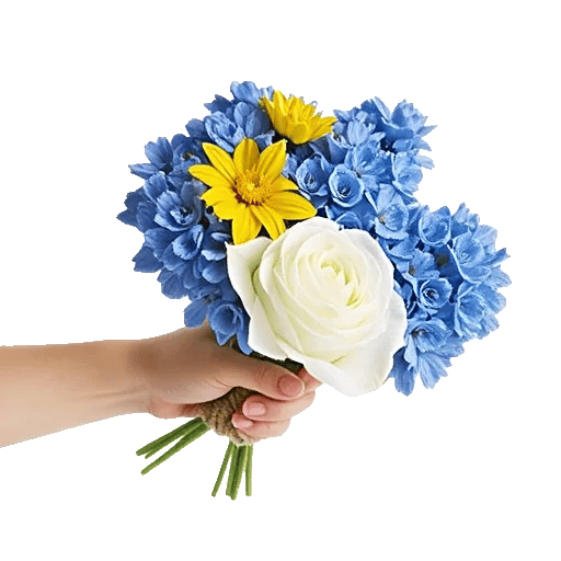 Serenity Blossom Grace