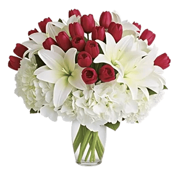 Graceful Lily Display
