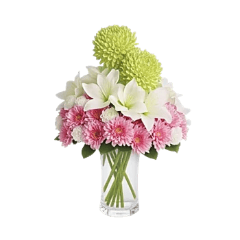 Ivory Blossom Radiance