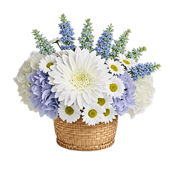 Serene Petal Harmony