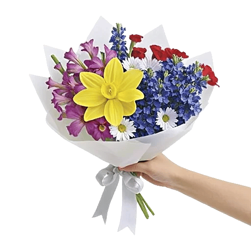 Blossom Harmony Display