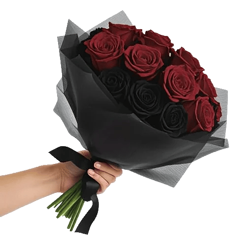 Crimson Rose Elegance
