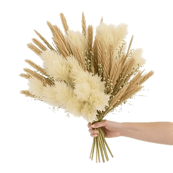 Daisy Meadow Spread