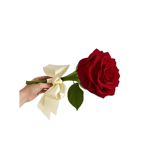 Crimson Rose Elegance