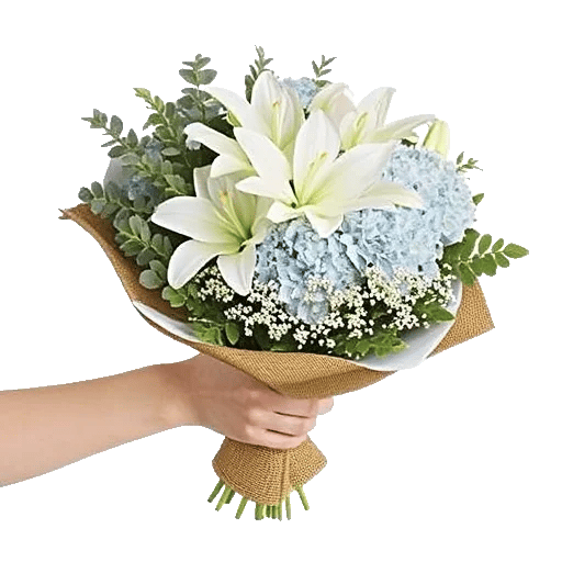 Serene Petal Harmony