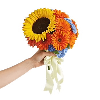 Radiant Bloom Cascade