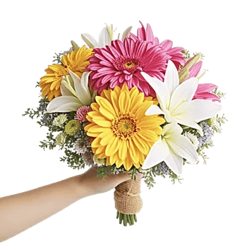 Blossom Harmony Display