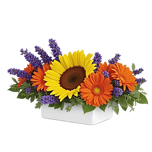 Amber Sunflower Glow