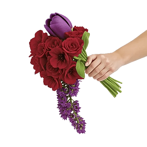 Scarlet Tulip Splendor