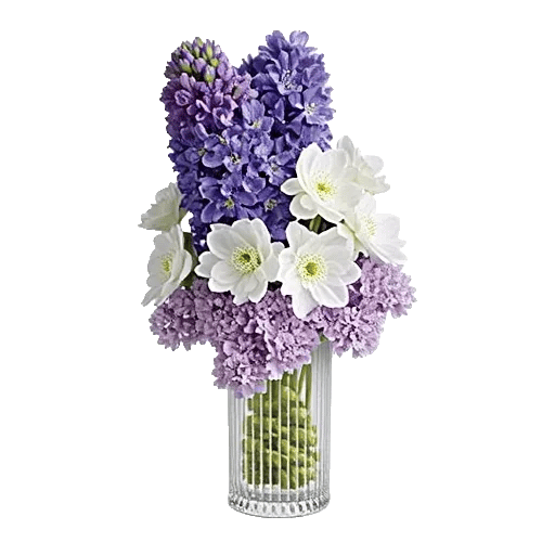 Ivory Blossom Radiance