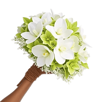Modern White Orchids