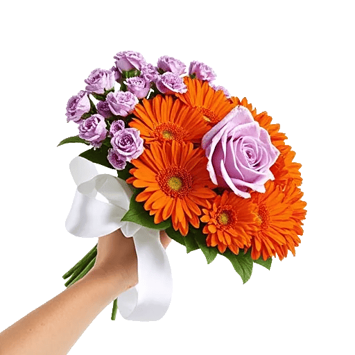Petal Grace Harmony