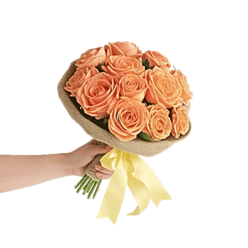 Delicate Petal Cascade