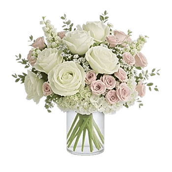 Ivory Blossom Radiance